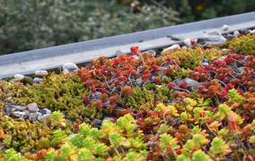 the cost of Fawley Chapel green roof installation